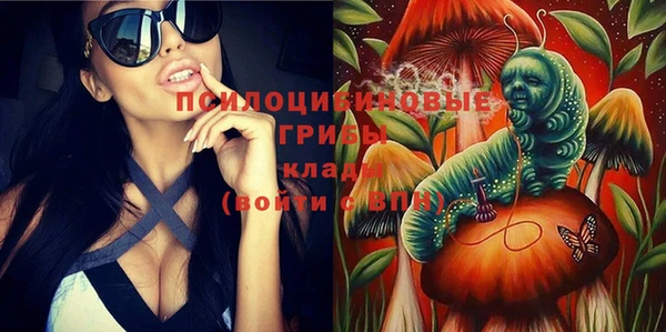 прущие крисы Арсеньев