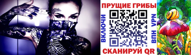 Псилоцибиновые грибы Cubensis  купить  цена  Новосиль 