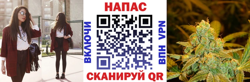 Шишки марихуана VHQ Новосиль